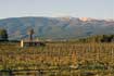 De wijngaard aan de voet van de Mont Ventoux