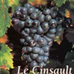 cinsault druif