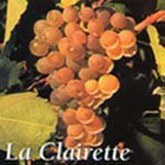clairette druif