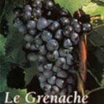 grenache druif