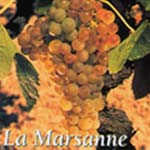 marsanne druif